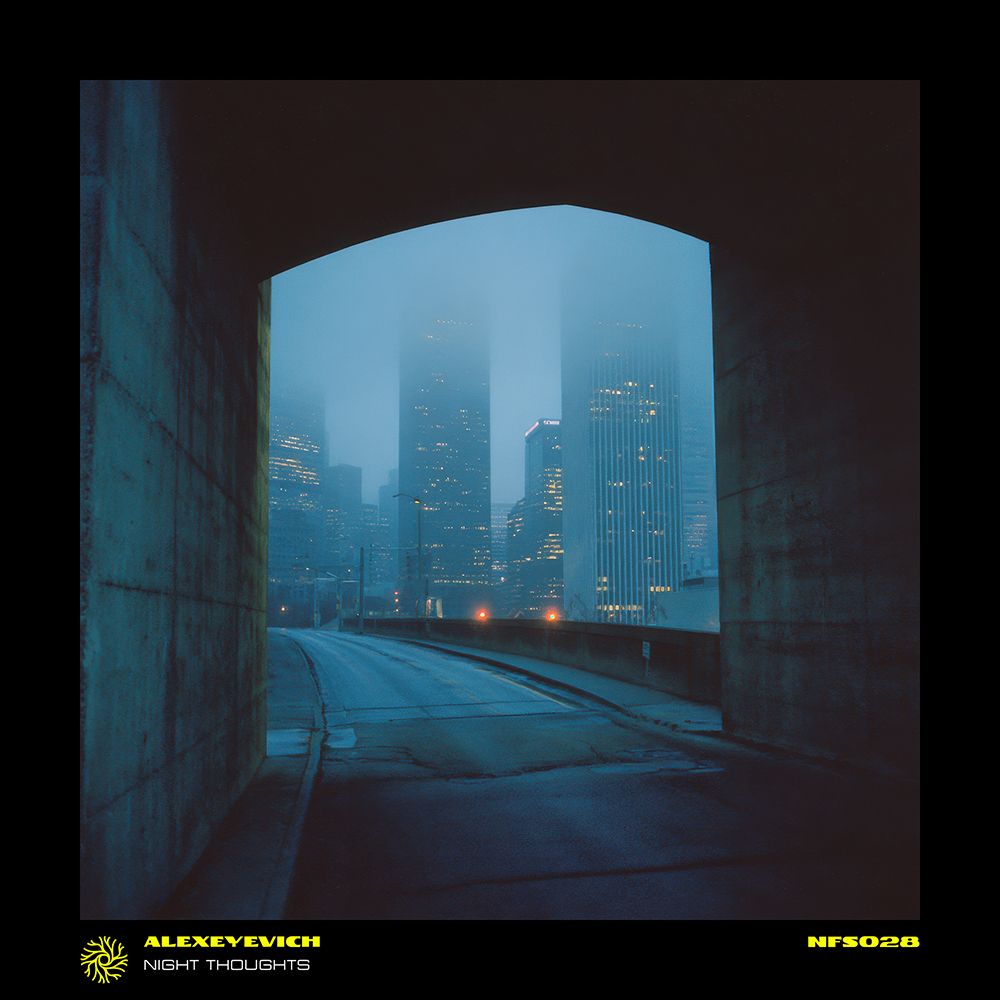 ALEXEYEVICH — Night Thoughts
